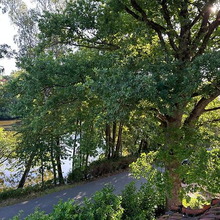 Villa Am See Bad Sachsa Zewnętrze zdjęcie