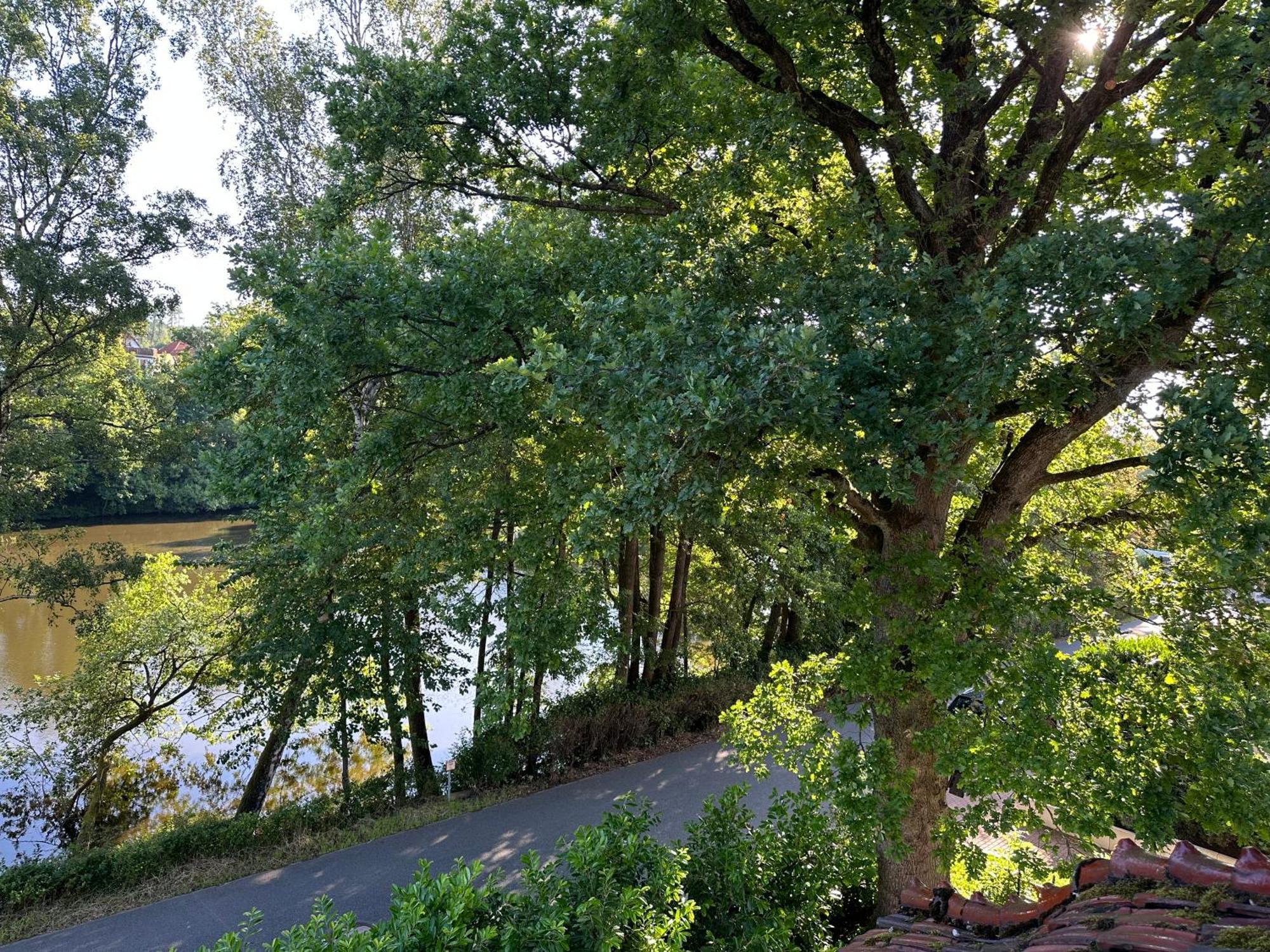 Villa Am See Bad Sachsa Zewnętrze zdjęcie